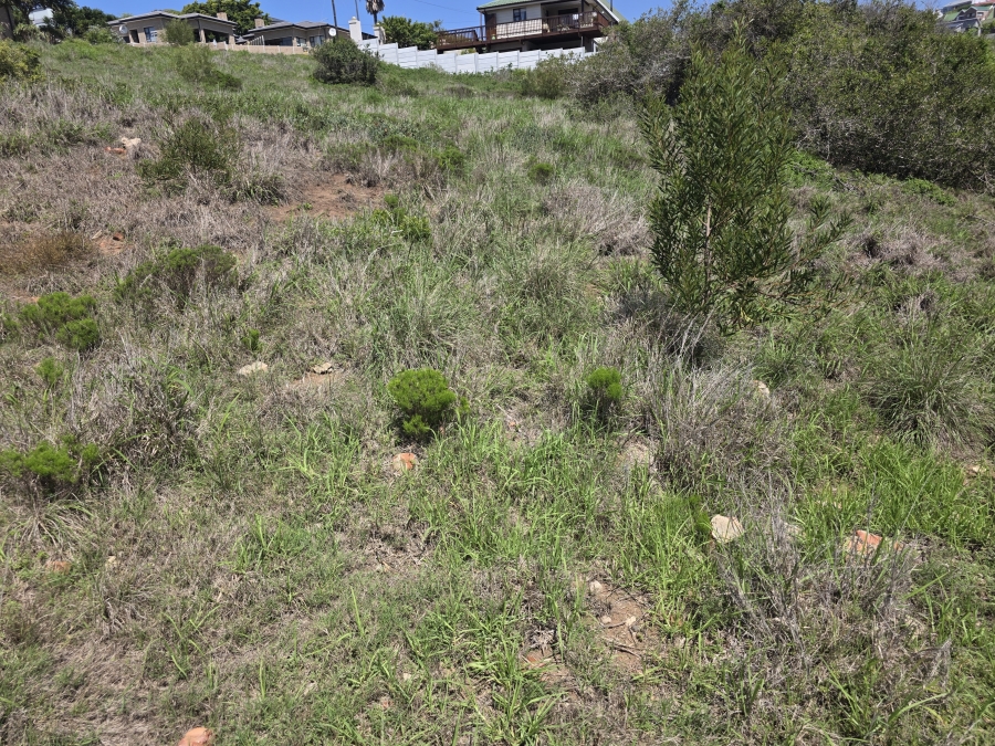 0 Bedroom Property for Sale in Dana Bay Western Cape